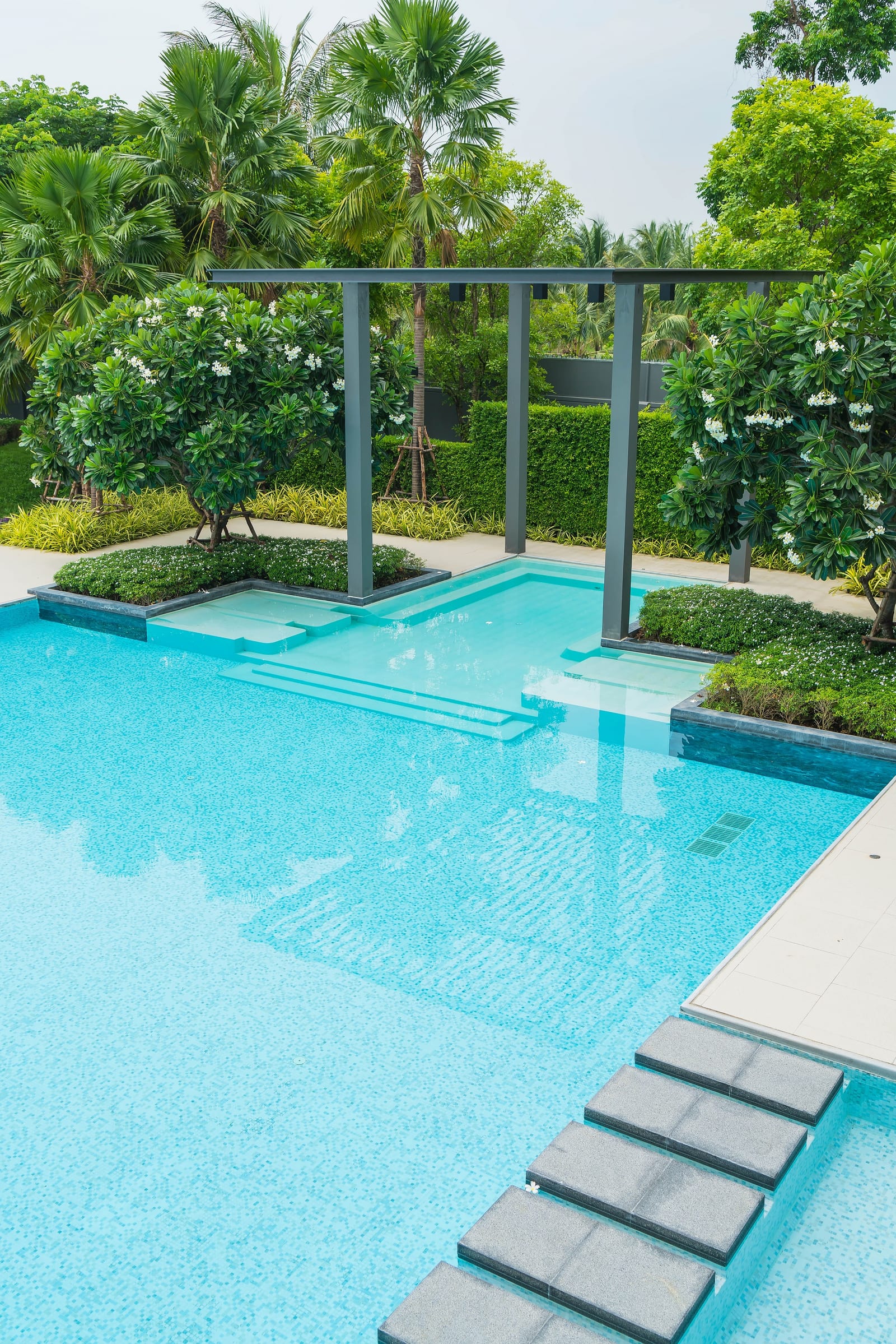Luxury backyard pool with a palm tree accent planting